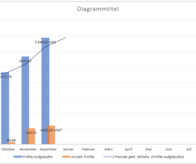 Performance Dezember 2024 EazyBot Update