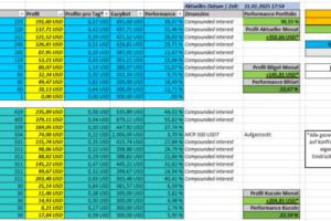 Entwicklung meines Portfolios EazyBot Januar 2025