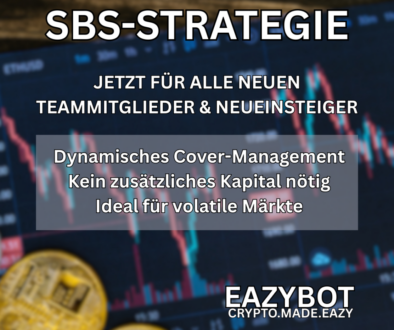 SBS-STRATEGIE